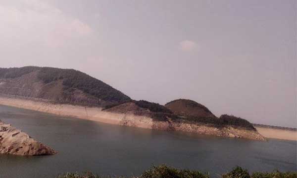 黑麋峰峰頂 綠樹蔥蔥，空氣都是甜的
