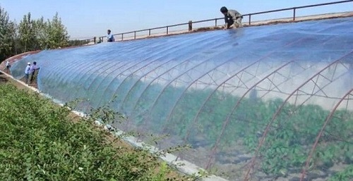 大棚吹膜用哪種增白劑？